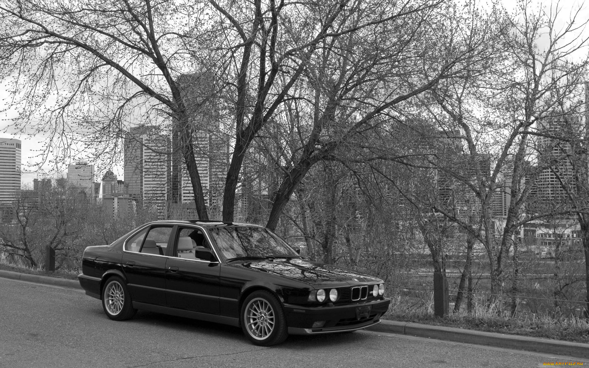 , bmw